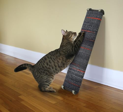 Omega Paw Lean-it, rasca-garras sobre suelo de alfombra facilita juego diario.
