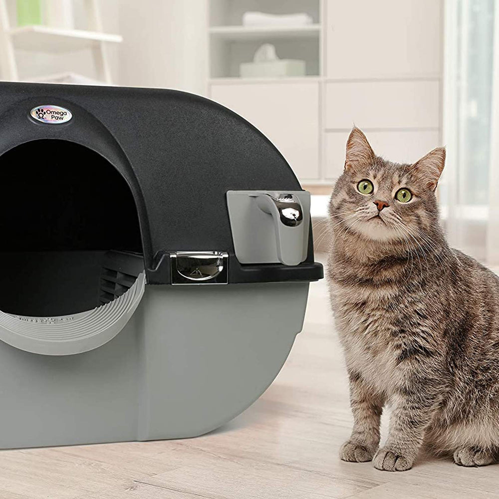 Caja de tamaño regular de Omega Paw, ideal para gatos pequeños y gatitos.