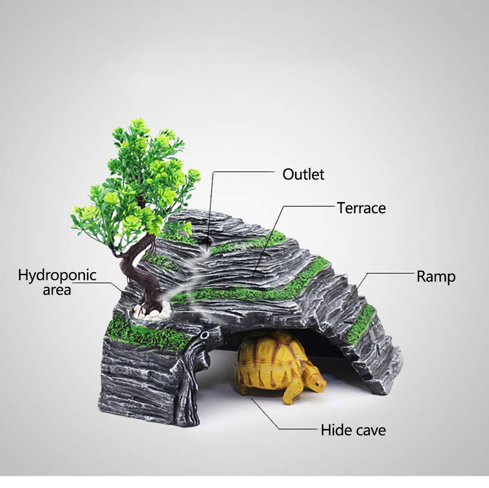 OMEM plantas decorativas para terrario, aportan verdor y naturalidad.