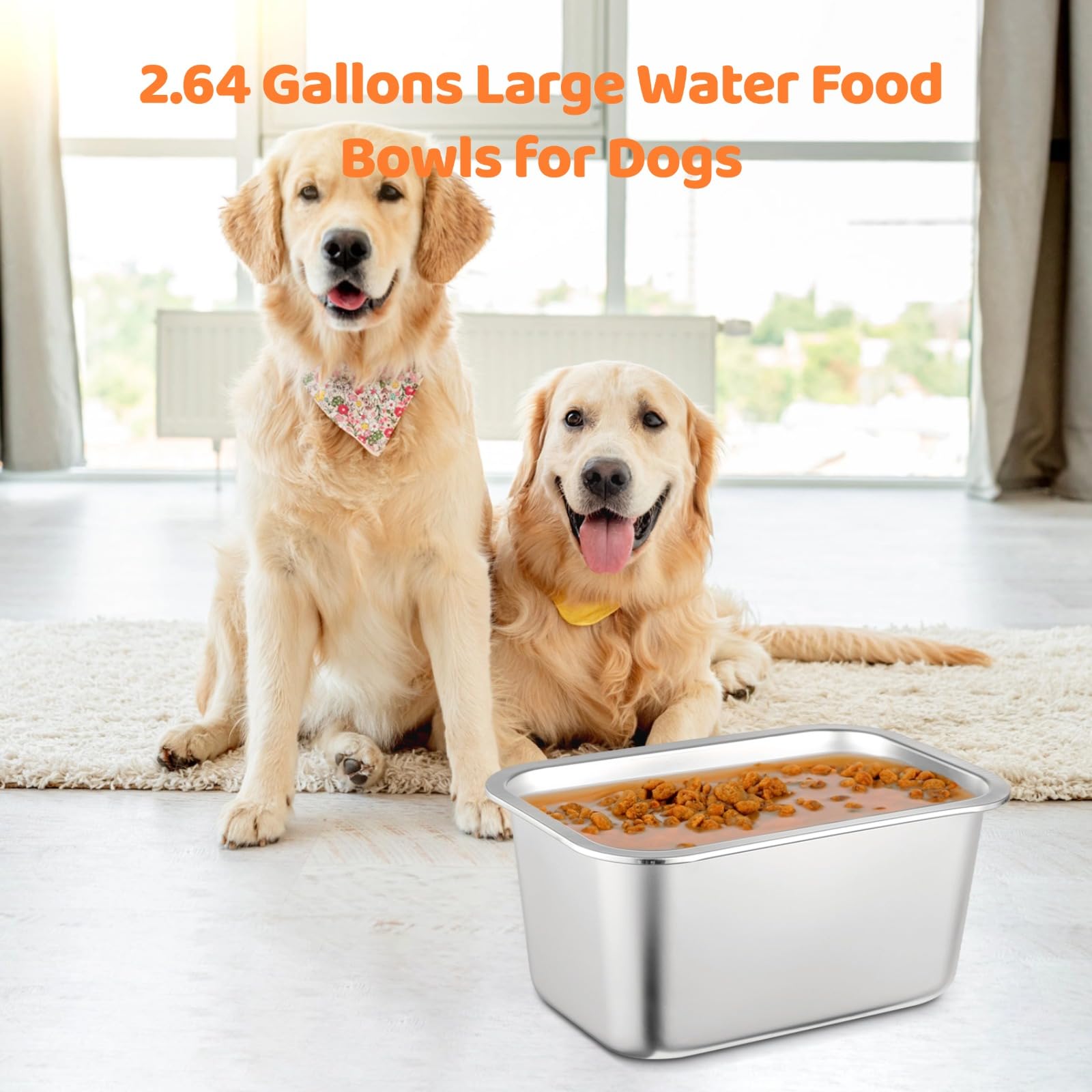 OMISTAR cuenco alimento para perros, gran capacidad para varios días.