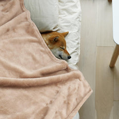 Manta Onarway para perro 28x20 caqui, perfecta para sofá o cama.