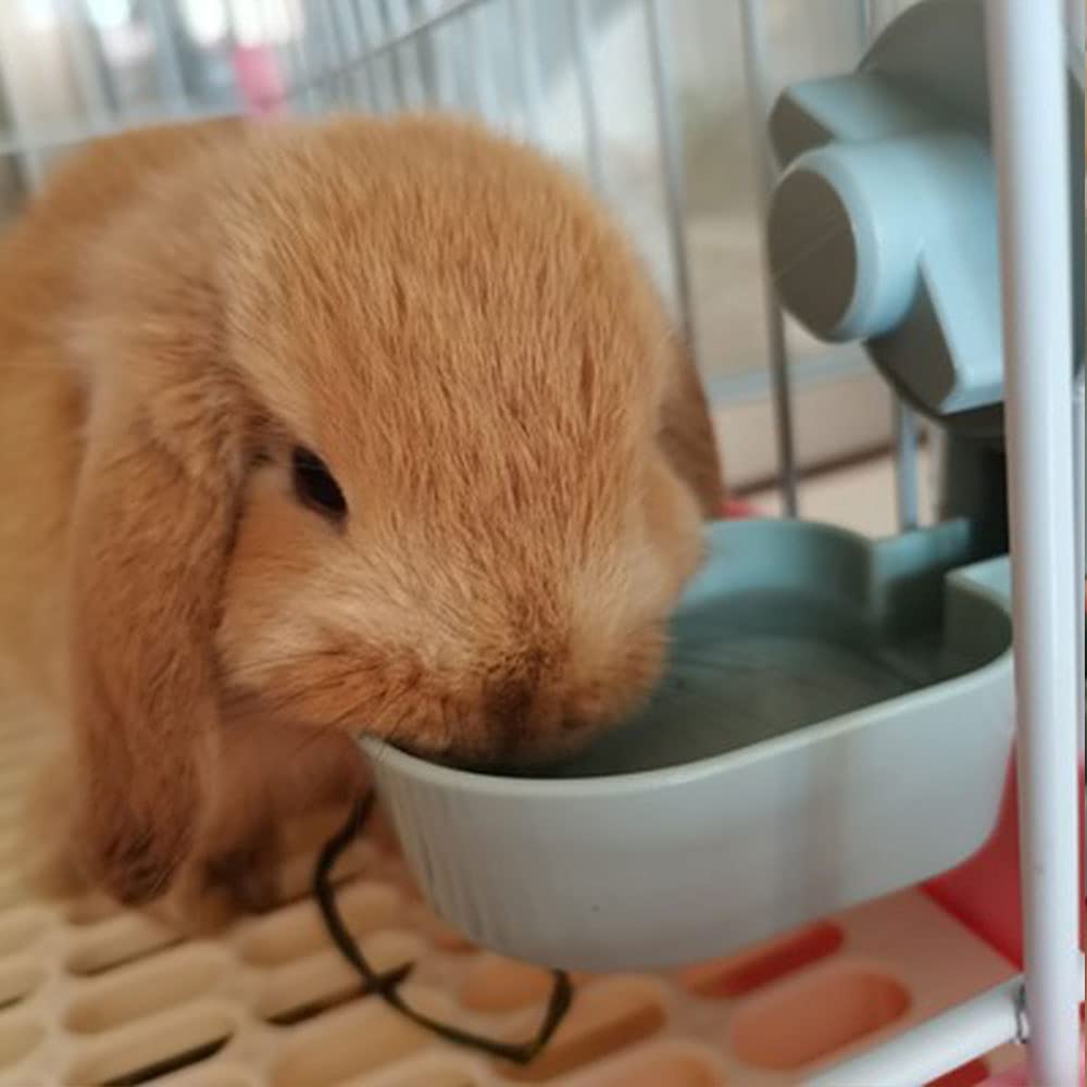Oncpcare bebedero para animales pequeños, uso diario cómodo