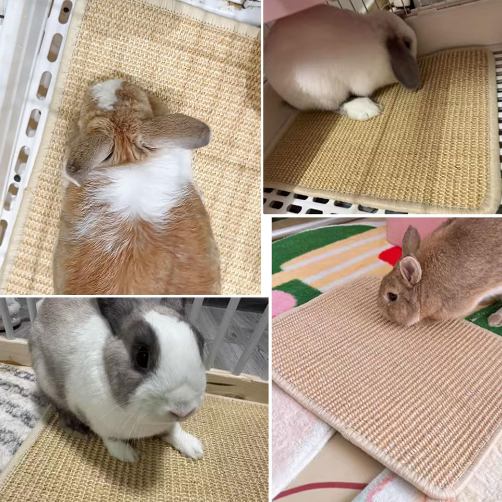 Oncpcare duradera, fibras de sisal entrelazadas resisten rasgado.