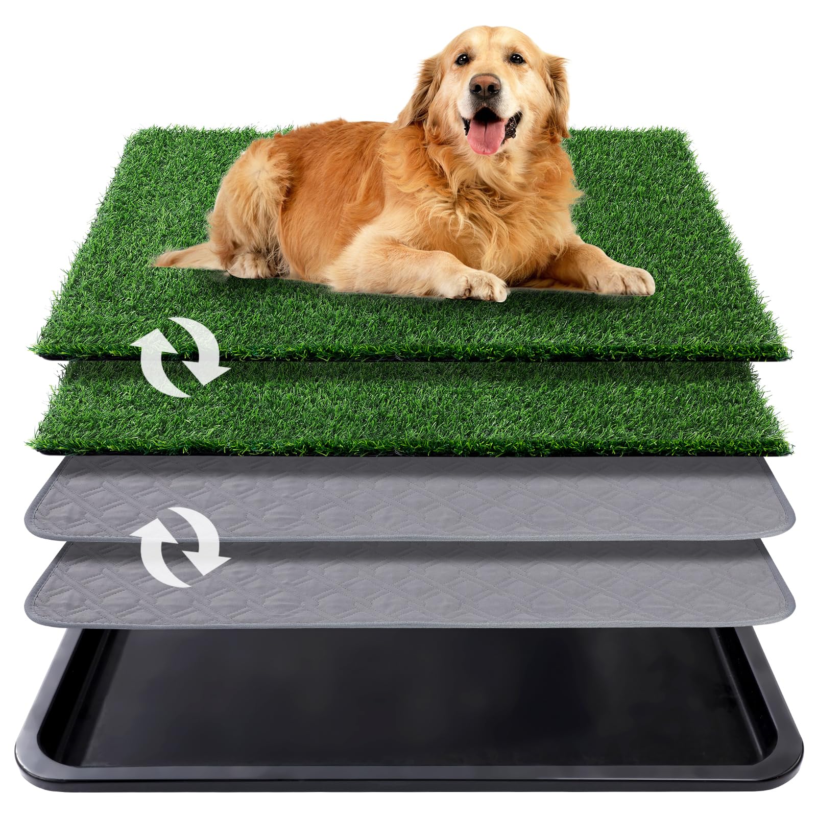 Ondware bandeja con césped artificial 35x23 para entrenamiento interior de perros.