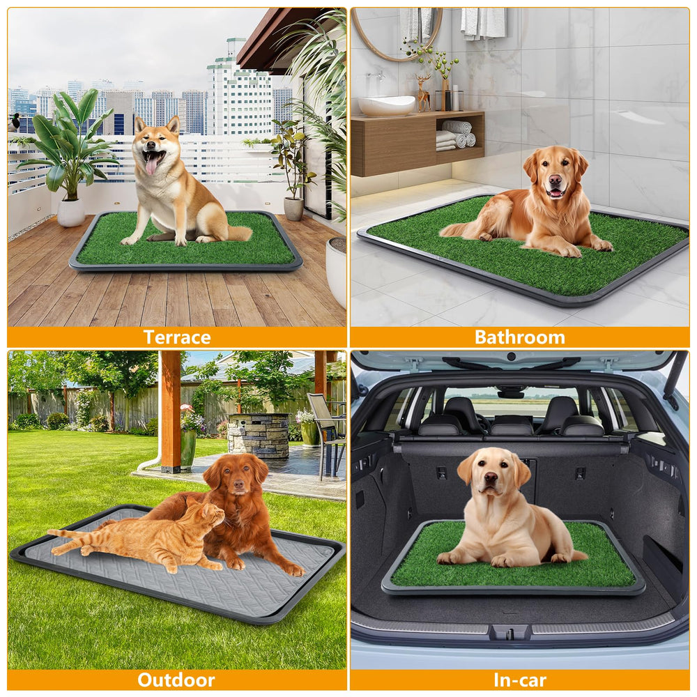 Ondware sistema de entrenamiento para perros, limpieza sencilla y mantenimiento.