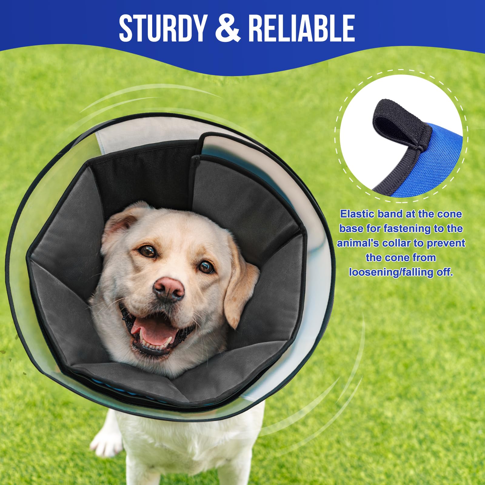 Cono ONETIGRIS para perros y gatos, sistema de seguridad y protección.
