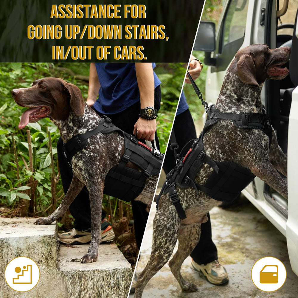 ONETIGRIS arnés 360º para perros grandes, diseño estable de movilidad