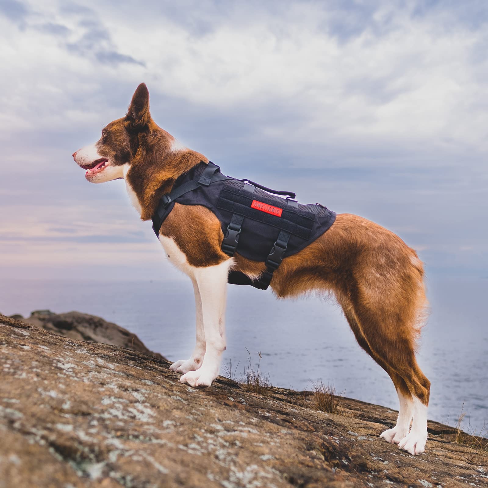 Bolsos compatibles MOLLE para accesorios y snacks