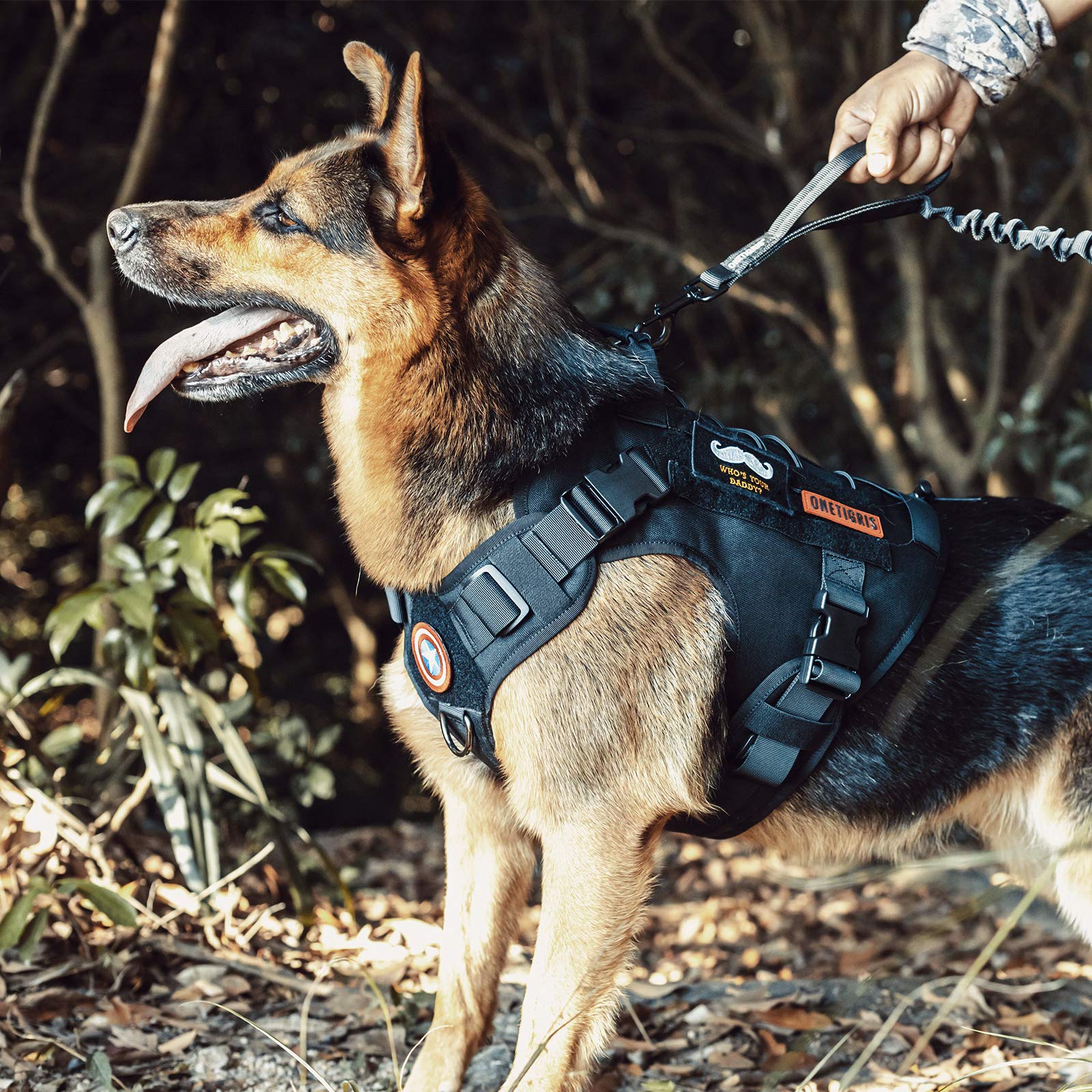 ONETIGRIS ideal para caminatas diarias y entrenamiento canino.
