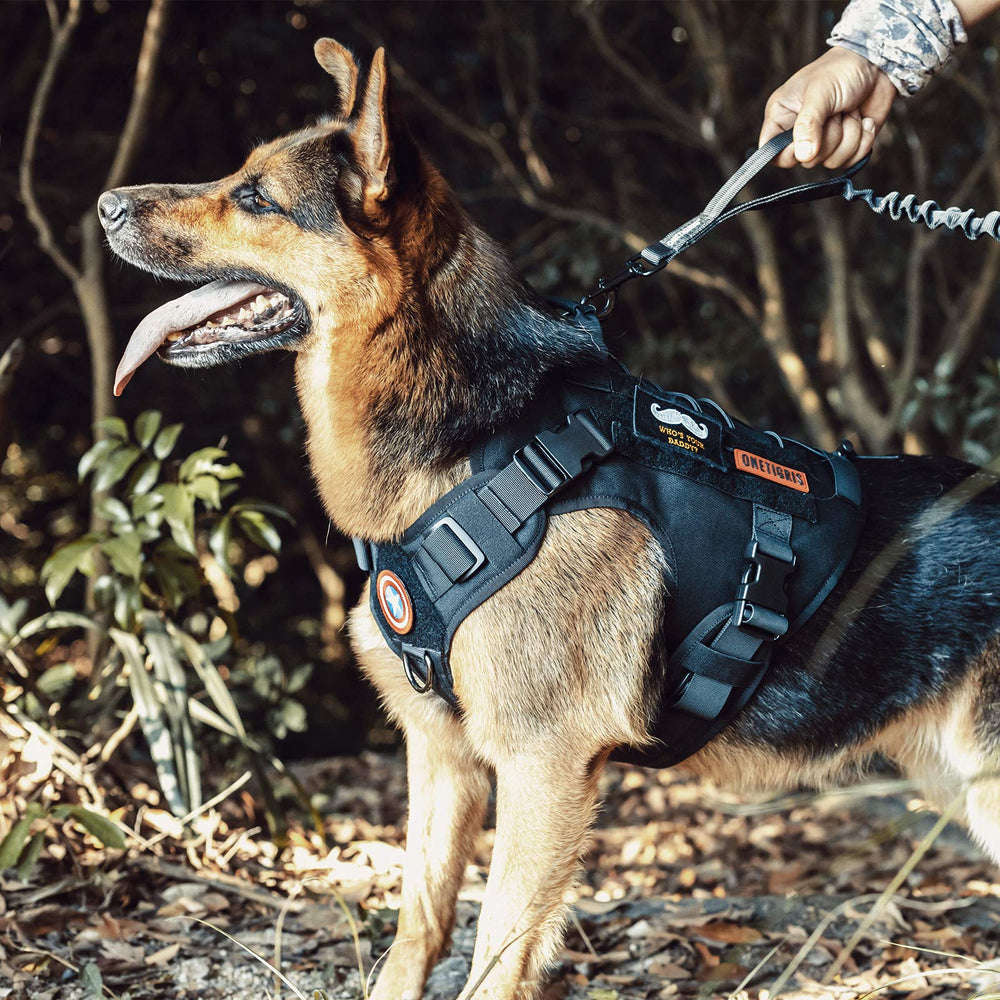 ONETIGRIS ideal para caminatas diarias y entrenamiento canino.