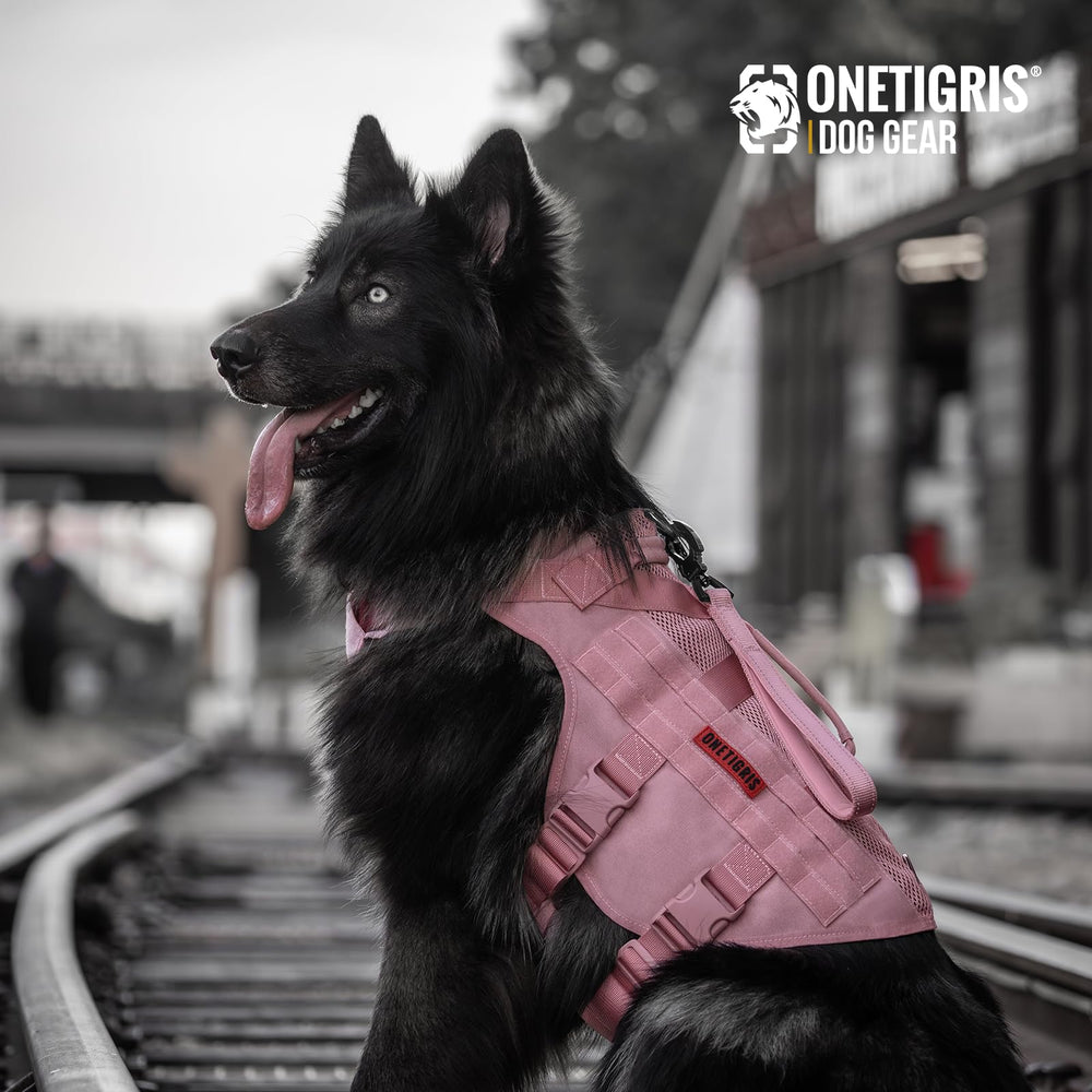 Guía de tallas OneTigris para cuello, pecho y espalda en rosa.