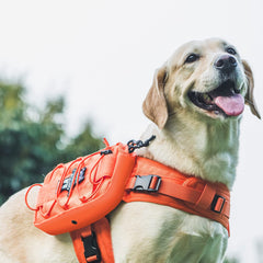 OneTigris Mochila para perro con bolsillo lateral de 3L para snacks y agua