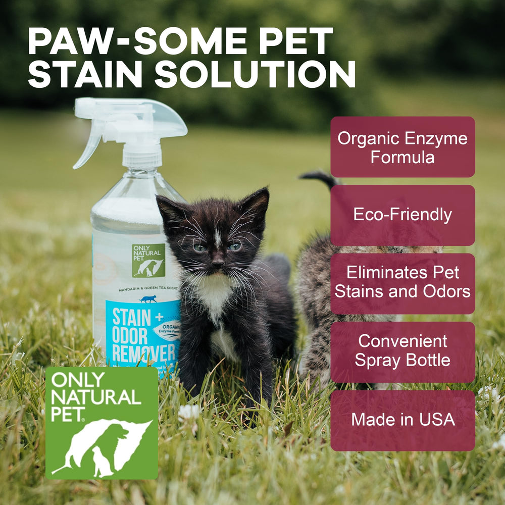 Only Natural Pet: aplicación en tapicería para manchas difíciles.