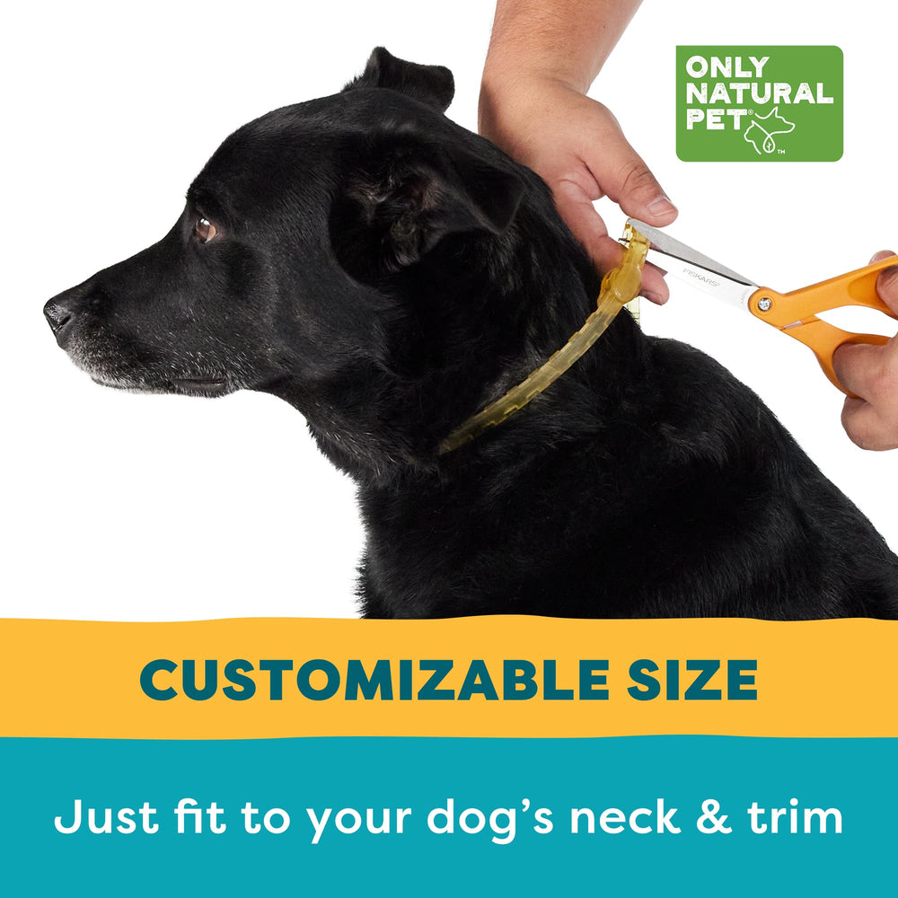 Only Natural Pet EasyDefense collar cuidado natural para perros.