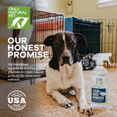 Only Natural Pet eliminador enzimático, tapicería y sofá, aroma fresco.