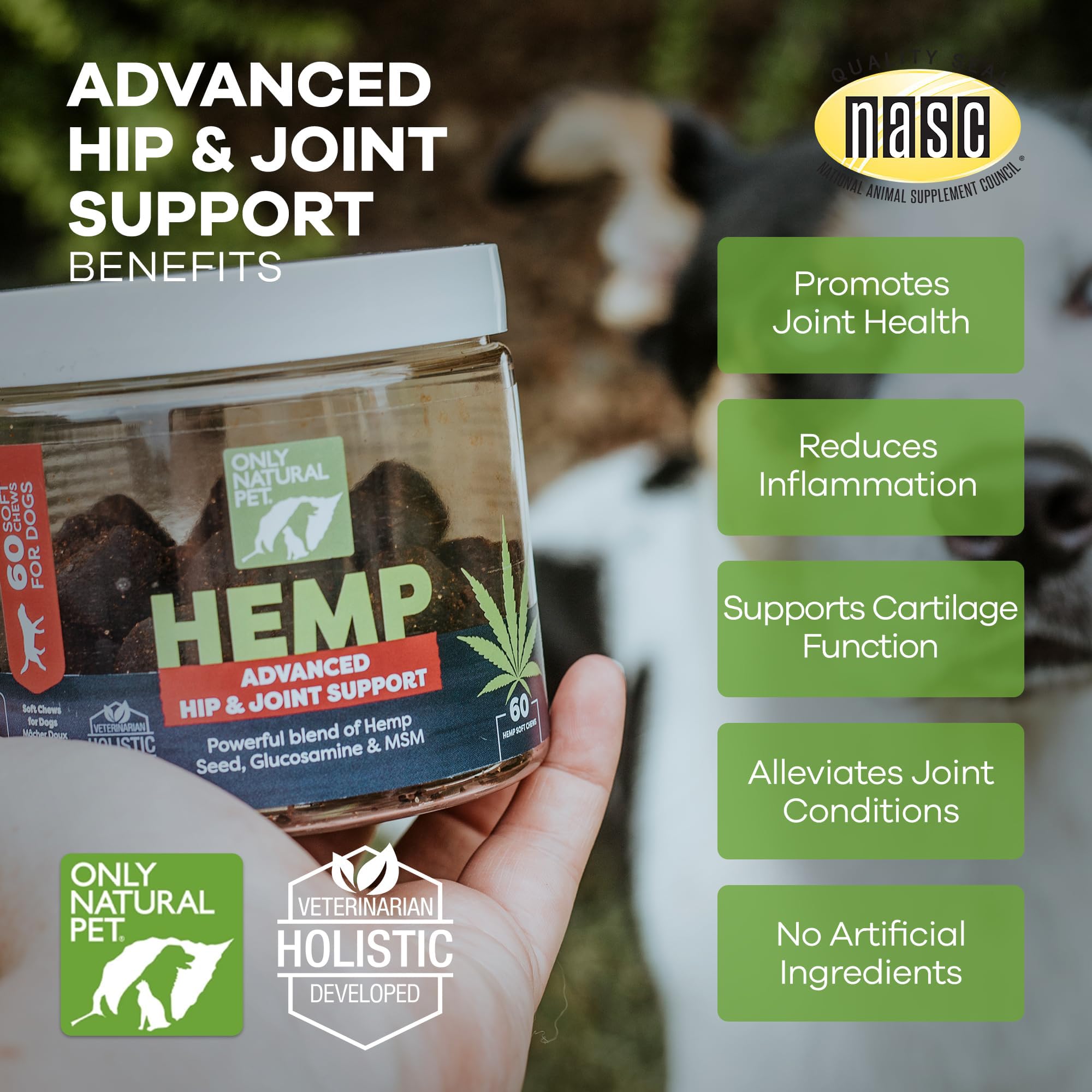 Only Natural Pet Hemp Advanced Mobility ingredientes naturales apoyan el bienestar del perro.