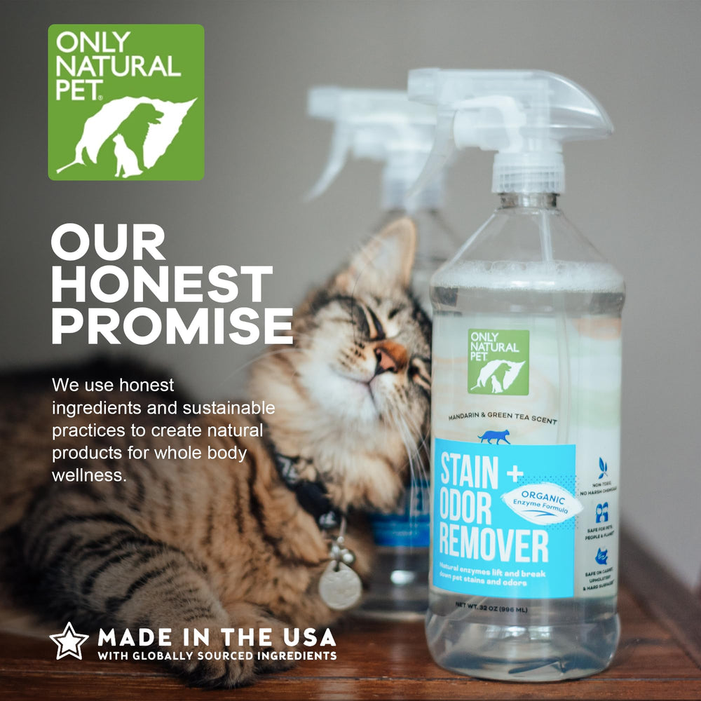 Only Natural Pet: limpieza de alfombras y tapicería para olores.