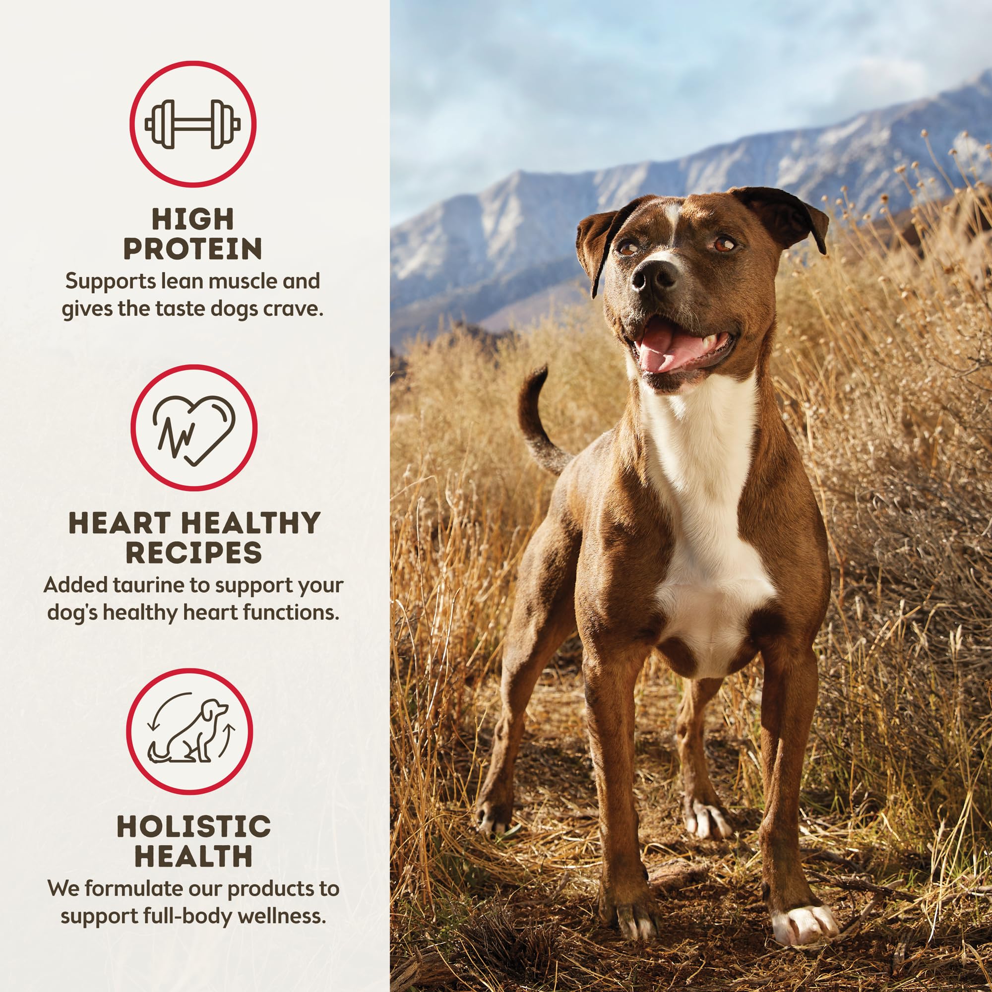 Only Natural Pet MaxBlends: servido en cuenco, perfecto para perros exigentes.