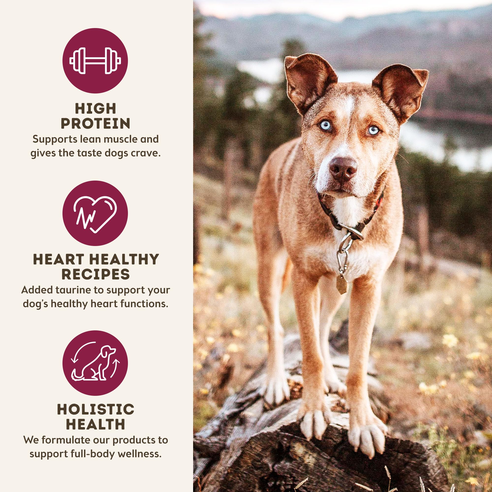 Only Natural Pet MaxMeat aderezo natural mejora el sabor sin granos.