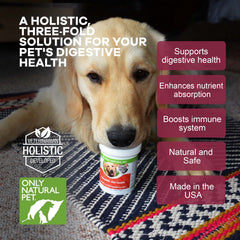 Only Natural Pet mezcla holística para salud digestiva y bienestar general de mascotas
