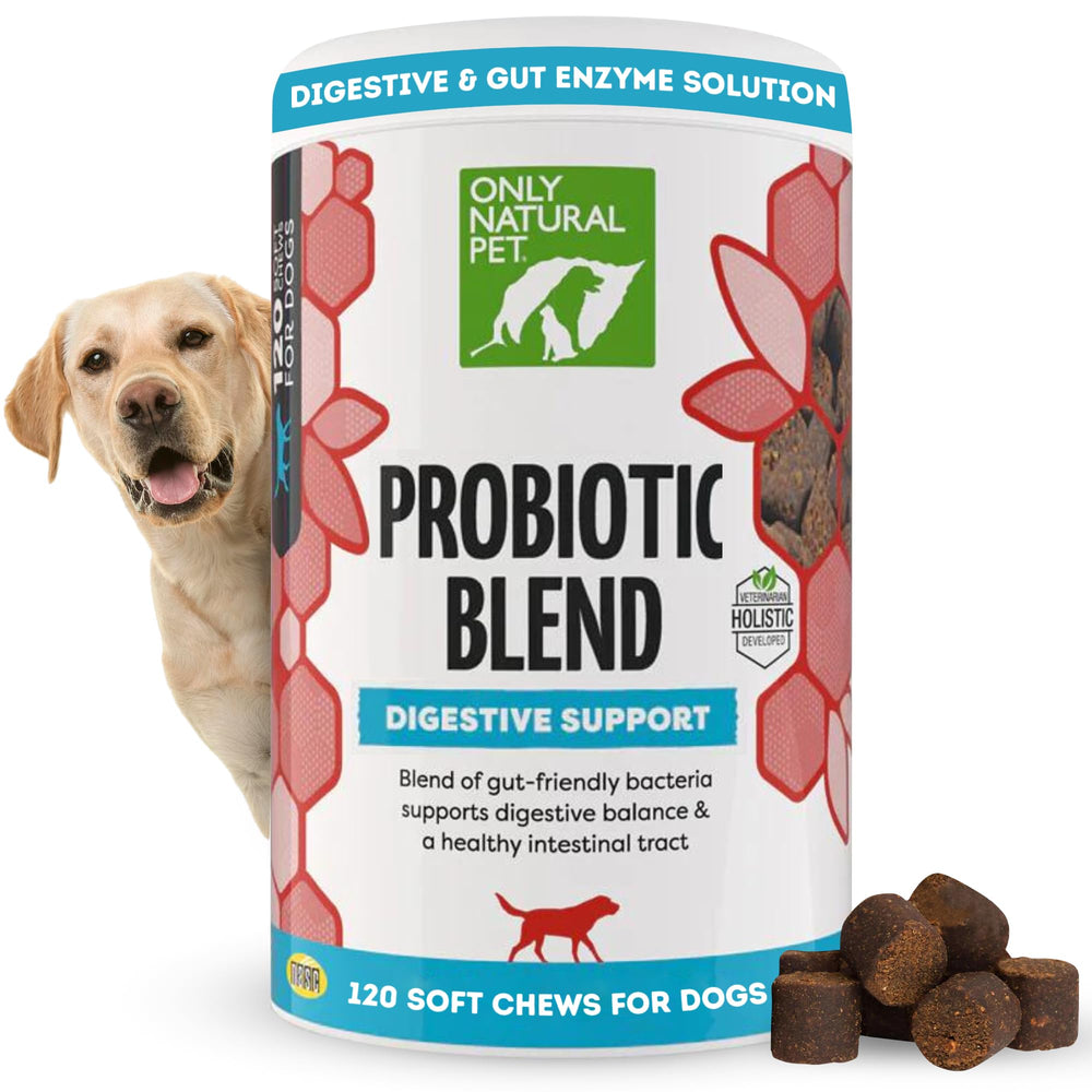 Probiótico Only Natural Pet en frasco para perros y gatos, apoyo digestivo diario.