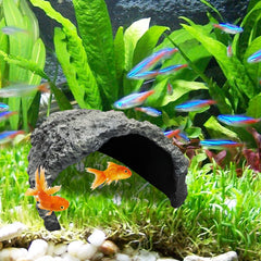 Textura realista de roca en Oooct, ambiente natural para mascotas.