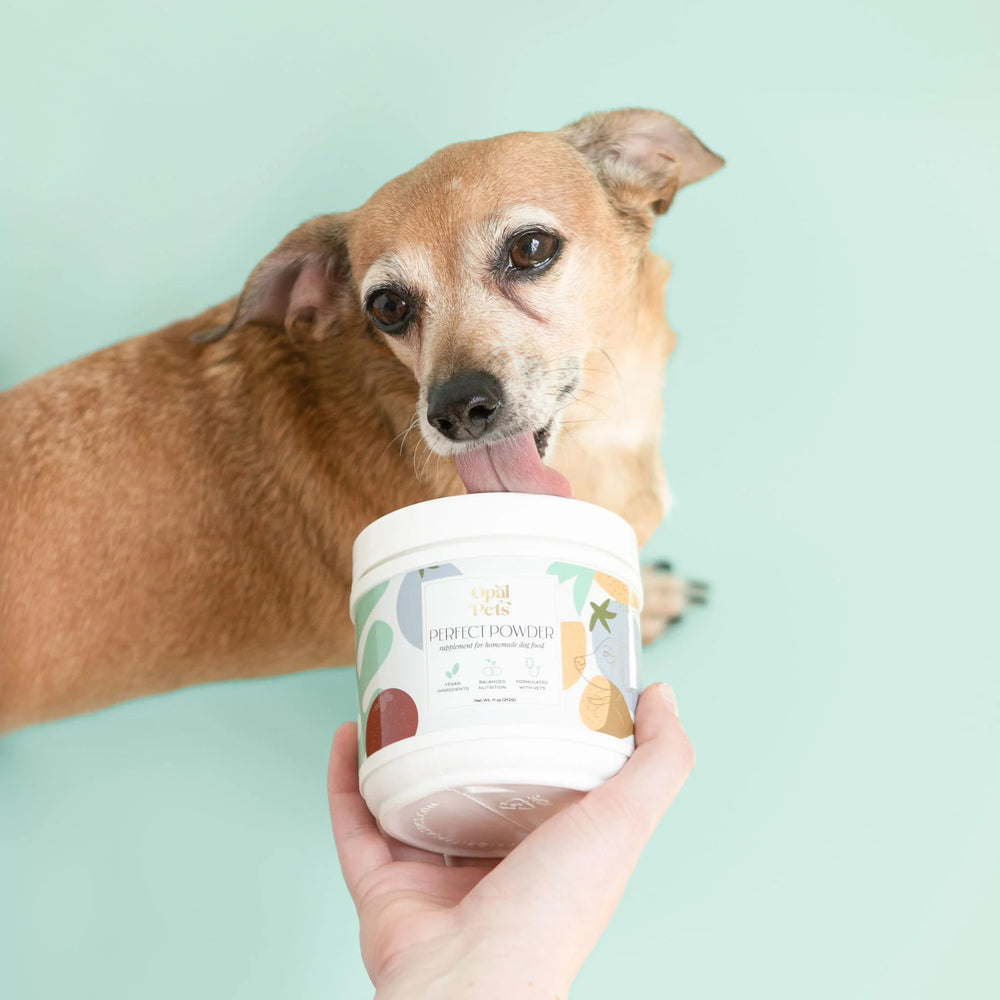 Opal Pets Perfect Powder: nutrición completa de vitaminas, minerales y aminoácidos