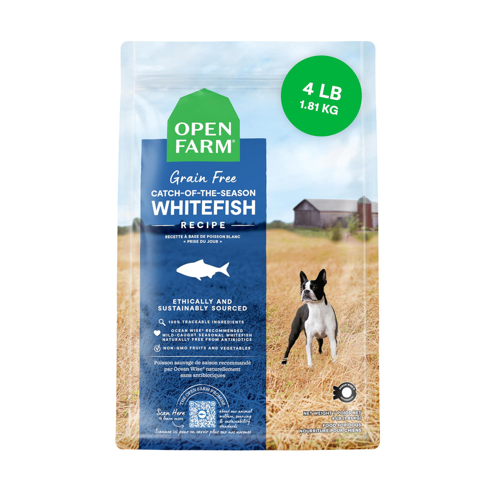 Open Farm alimento para perro sin granos en bol; ideal para comidas diarias.