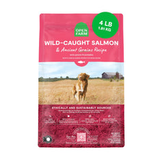 Open Farm Alimentos para perros con granos antiguos y salmón, proteína de alta calidad para energía diaria.