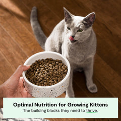 Open Farm croquetas para gatitos, ingredientes trazables y sin maíz ni soja.