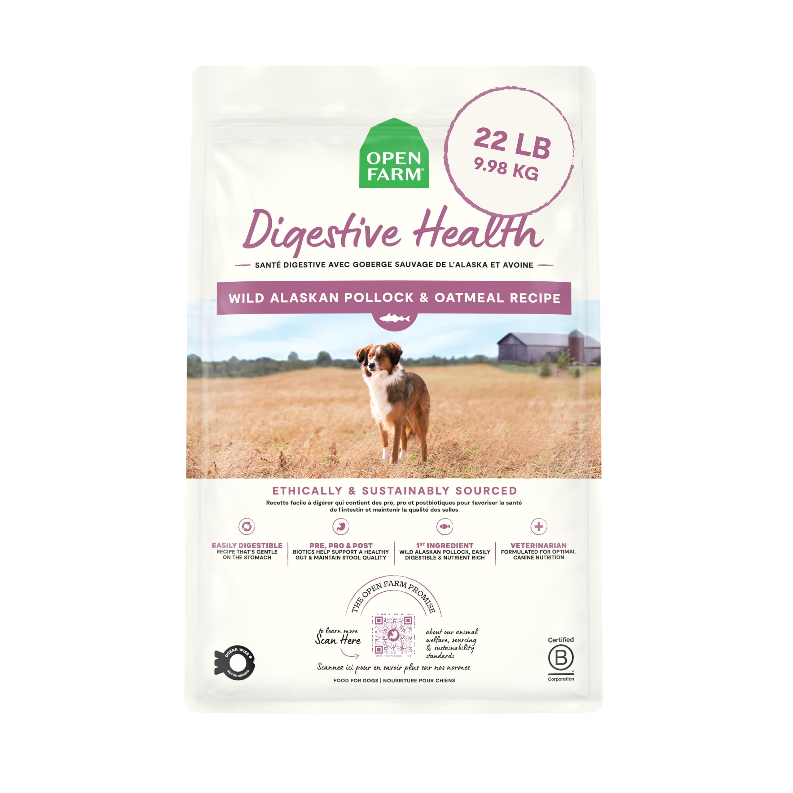 Open Farm Digestive Health: tazón servido con croquetas fáciles de digerir para perros sensibles.