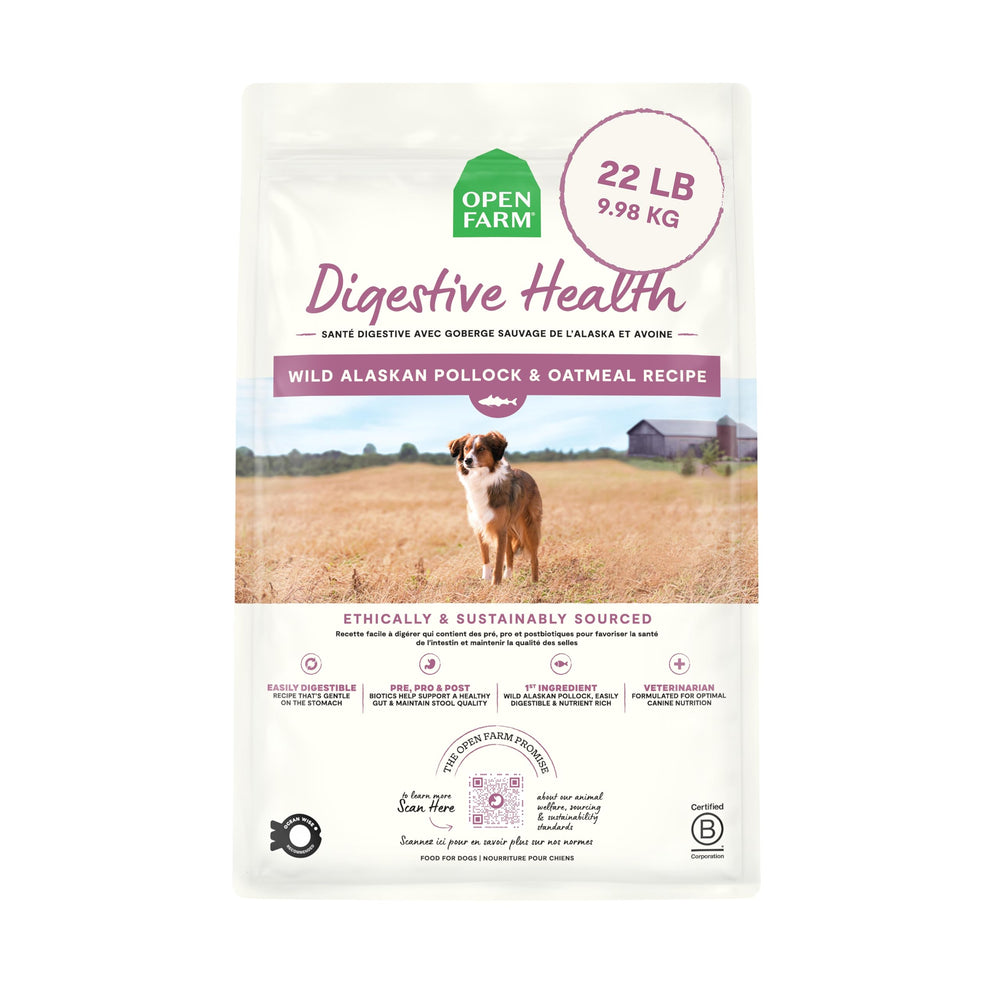 Open Farm Digestive Health: tazón servido con croquetas fáciles de digerir para perros sensibles.