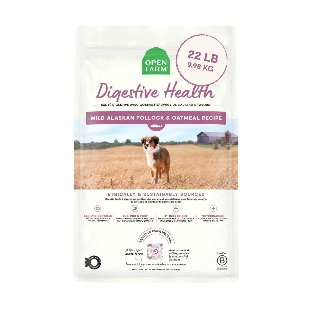 Open Farm Digestive Health: tazón servido con croquetas fáciles de digerir para perros sensibles.