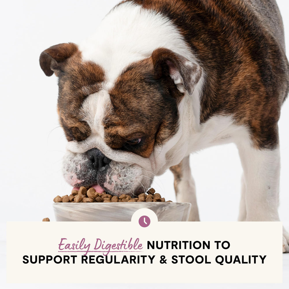 Open Farm Digestive Health: abadejo salvaje de Alaska como ingrediente principal para una dieta equilibrada.