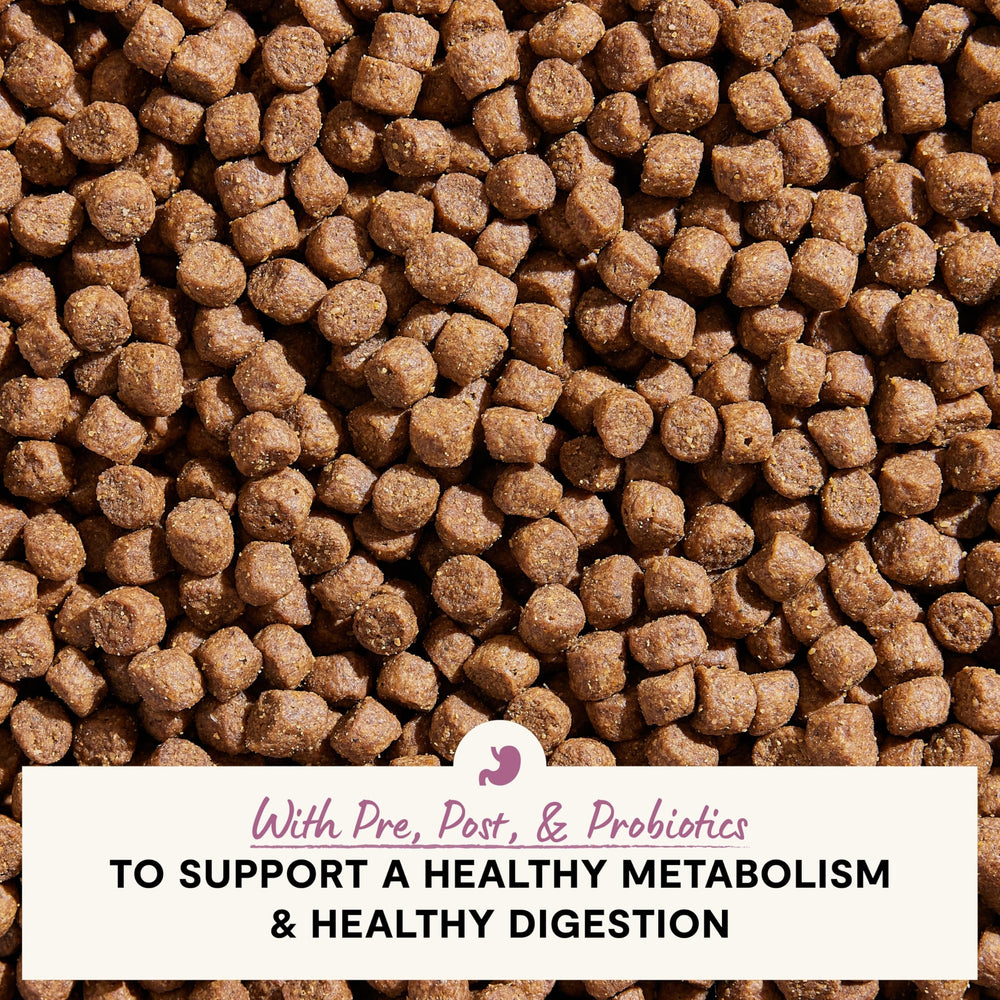 Open Farm Digestive Health: probióticos, prebióticos y postbioticos para apoyar la salud intestinal.