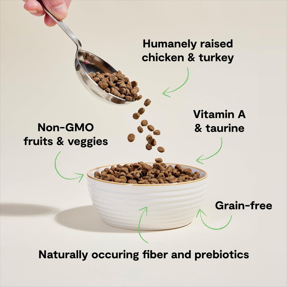 Open Farm dieta para gatitos con fibra y prebióticos para digestión suave.