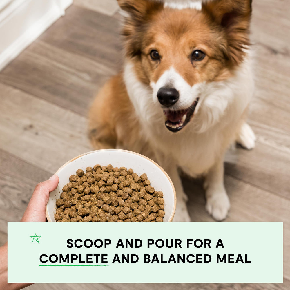 Open Farm kibble seco para perros con croqueta crujiente.