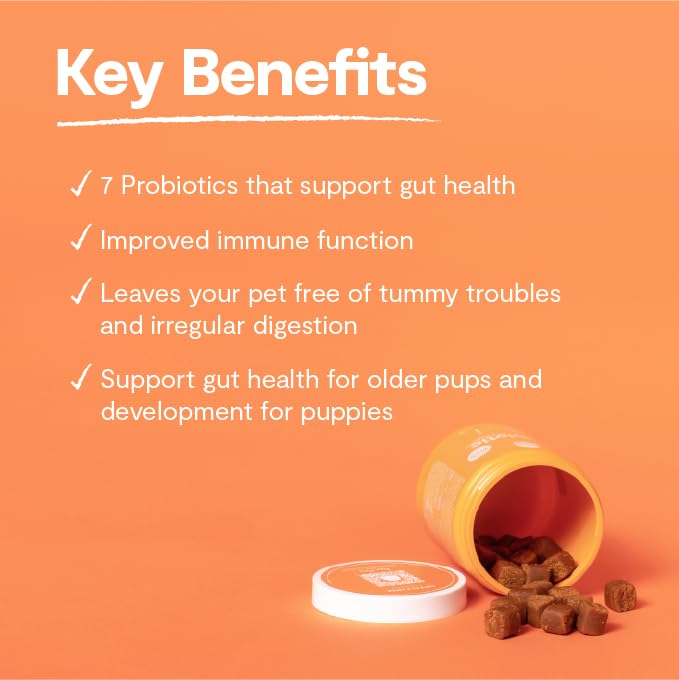 Open Farm masticables probióticos dosis diaria para apoyar la salud digestiva.