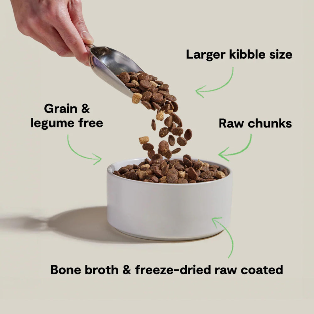 Open Farm RawMix trozos crudos congelados de salmón para perros grandes, proteína de calidad.
