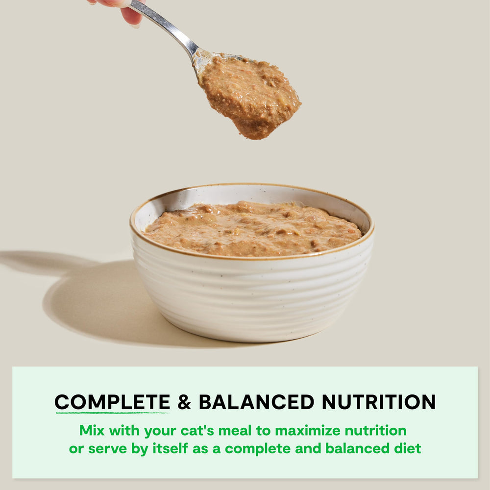 Open Farm Rustic Blend: caldo de huesos nutritivo para textura rica.