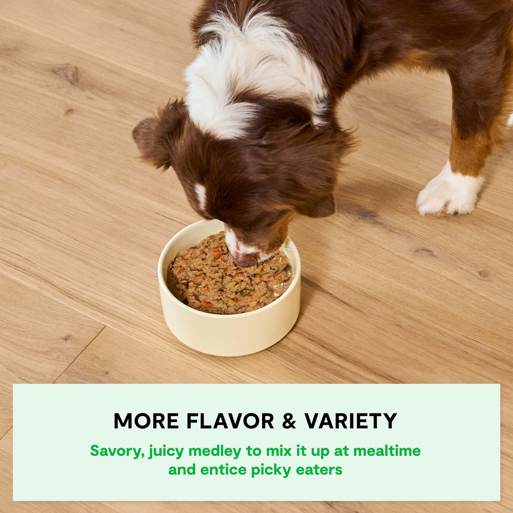 Open Farm Rustic Stews: verduras frescas que enriquecen la comida húmeda