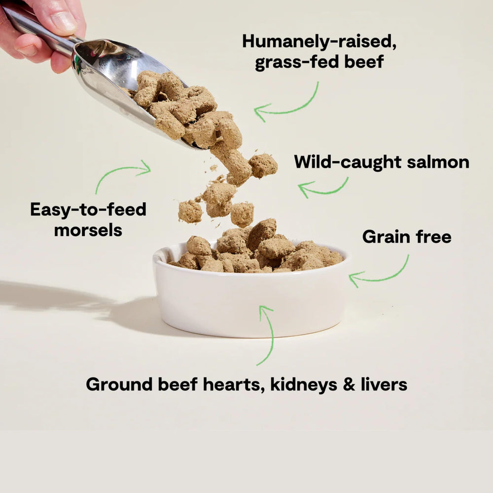 Open Farm verduras orgánicas y superfoods, fórmula equilibrada para perros.