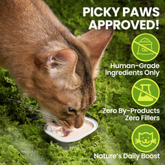 OPET Pate para gato, aroma apetitoso que estimula el apetito natural.
