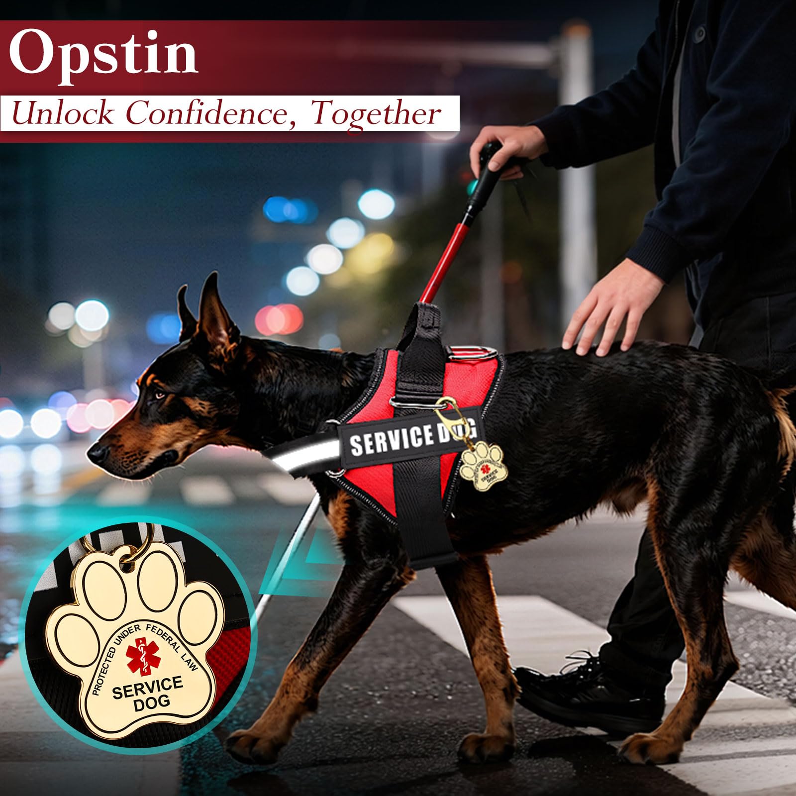 Opstin set accesorios servicio perro, vista general, todo lo necesario para uso diario.