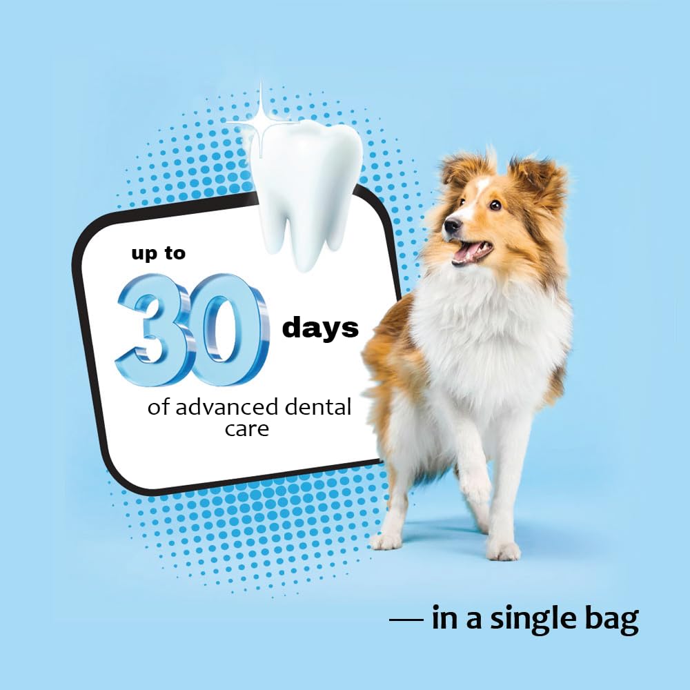 Paquete con 30 premios para perros pequeños, fácil de usar diariamente.