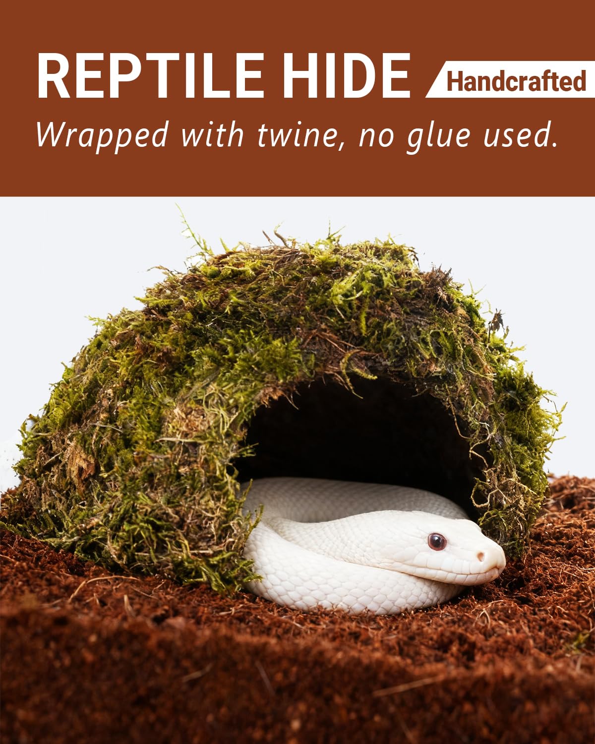 ORBIDYN domo con interior hueco, escondite seguro para reptiles pequeños.