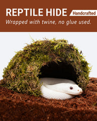 ORBIDYN domo con interior hueco, escondite seguro para reptiles pequeños.