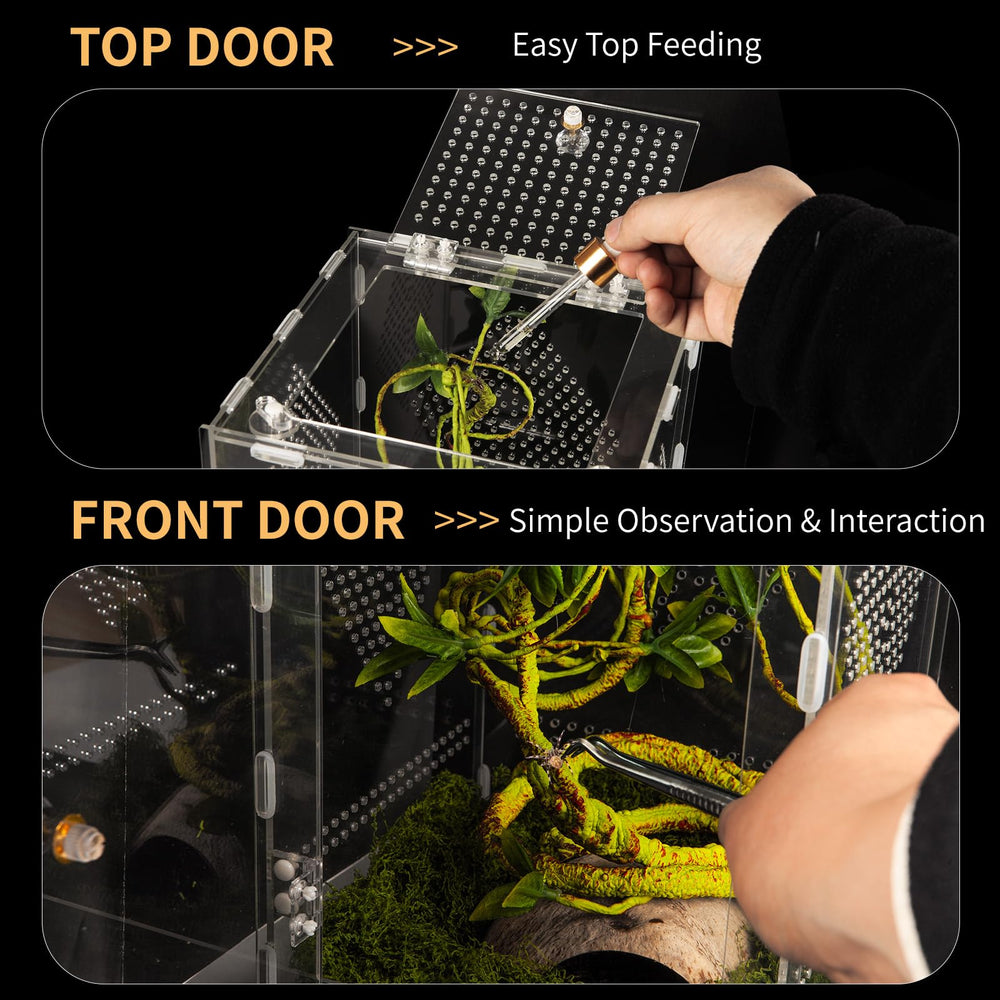 Orekemo Terrario Reptil, pared cristal 360 para monitoreo sin obstáculos