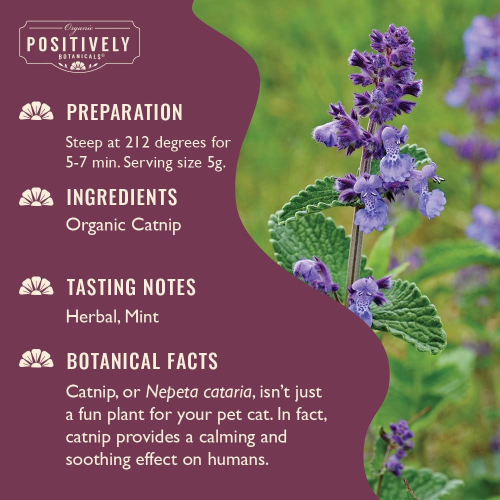 Organic Positively Tea Company infusión de Nepeta cataria con aroma calmante para noches tranquilas.