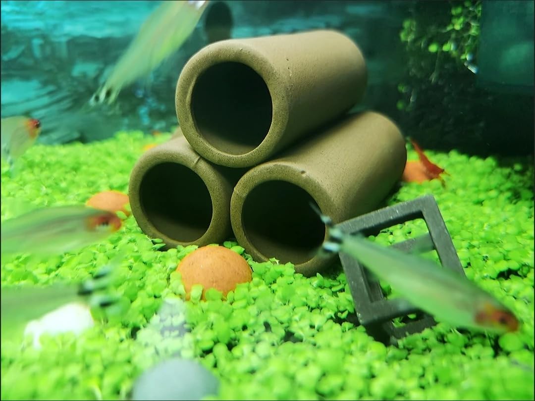OrgMemory alojamiento ceramico para peces tropicales: ofrece refugio cómodo para escalar o dormir.